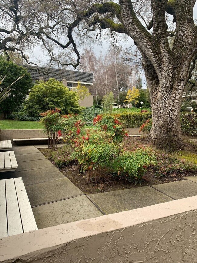 Photo - Lovely 2-Bedroom Apartment in Sharon Heights Unit 239