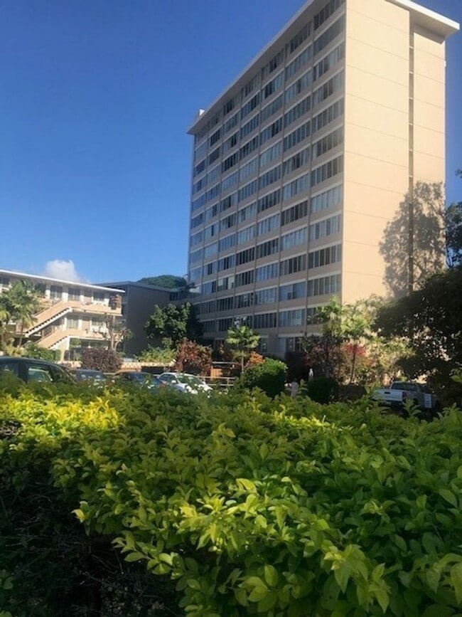 Available Now | Full Size Studio with 1 Ba... - Available Now | Full Size Studio with 1 Ba... Condo Unit A902