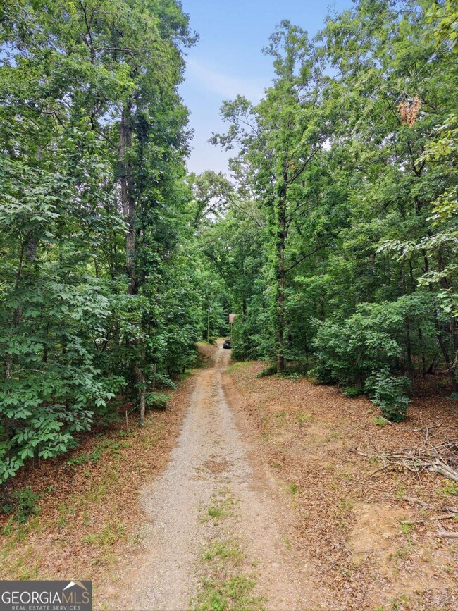 Photo - 3349 Chestatee Rd
