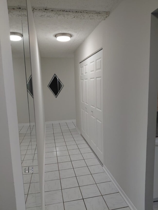 Hallway - 225 S Rohlwing Rd Unit 607