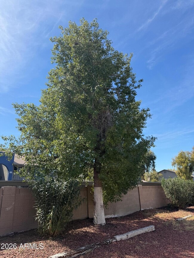 Photo - 6815 W Carol Ave