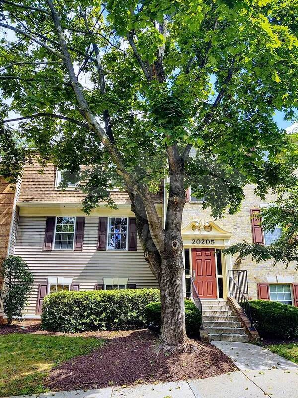 Photo - 20205 Shipley Terrace