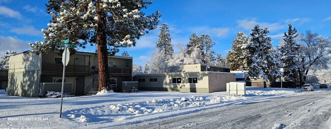 Photo - spacious 1-bedroom 1-bath with open floor ... Unit Apt 15