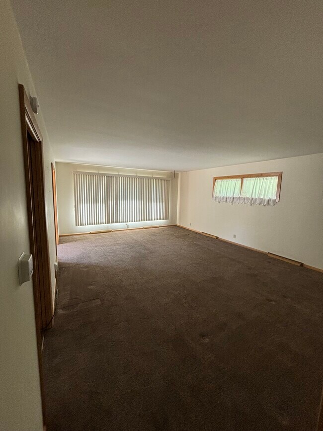 Carpeted living room with large windows - 815 E 6th St