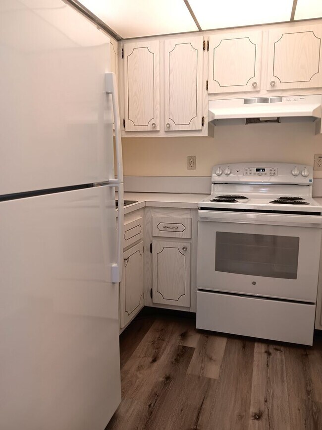 Photo - Sunny spot in St Pete, close to downtown & all kinds of shopping, dining