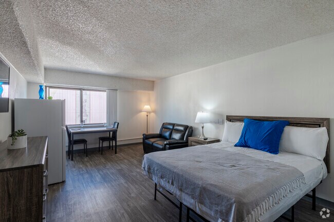 Studio, 1BA - 315 Sq Ft