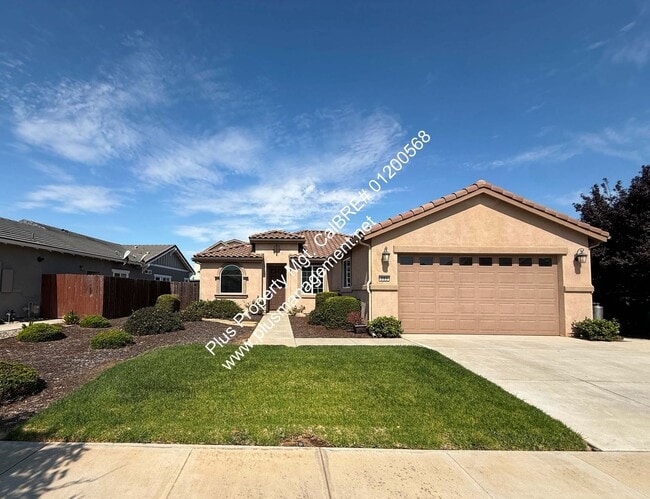 Building Photo - 305 Hampton Dr