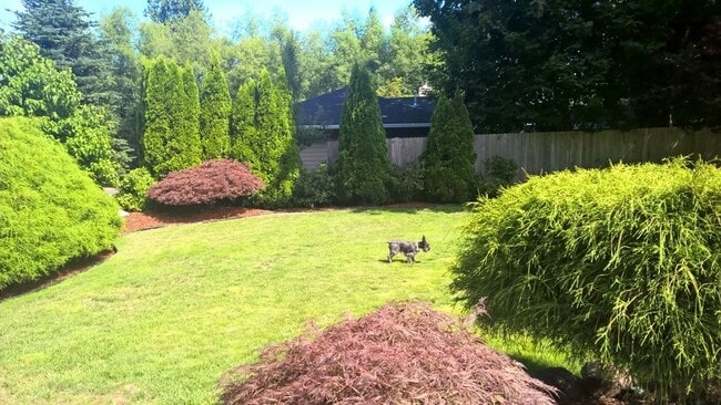 Photo - Gold Creek Community