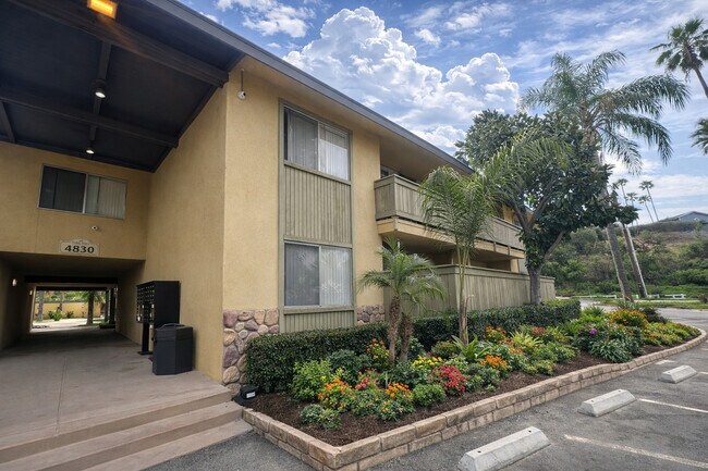 Palm Vista