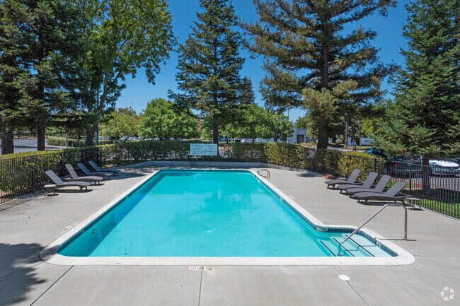 Pool - Cottages on 5th