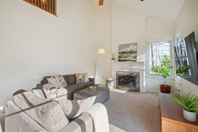 Photo - 26 Spiked Rush Ct