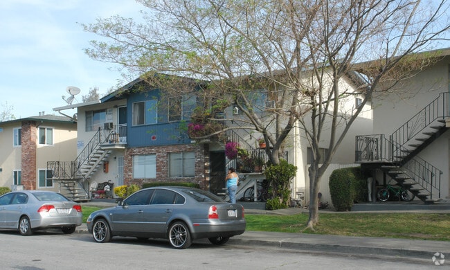 Sutter 2361