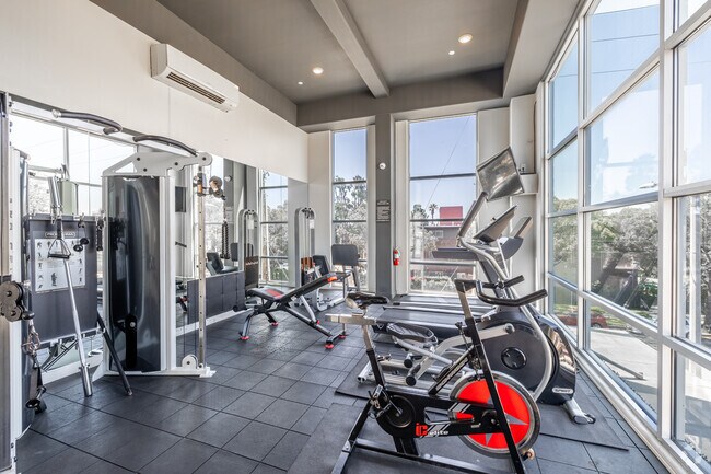 Gimnasio