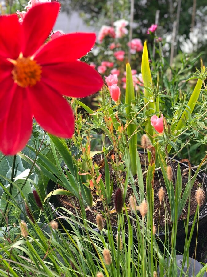 Photo - 44 Alviso St Unidad studio