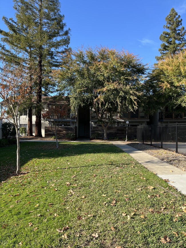 Photo - 4081 Clayton Rd Unit 132