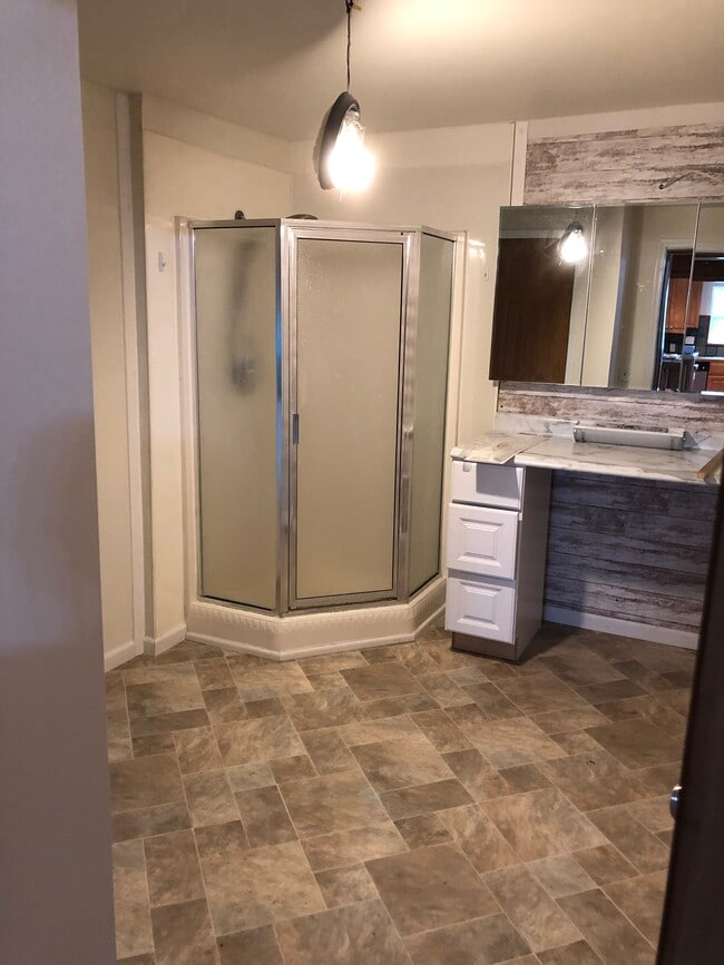 Shower and make-up vanity