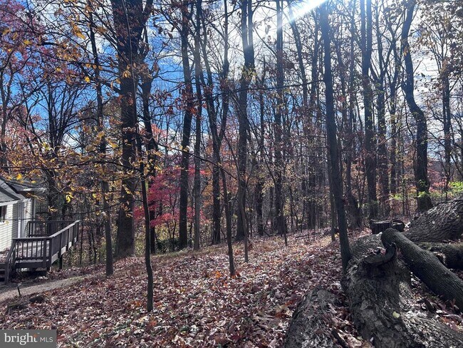 Photo - 132 Pinecrest Ln