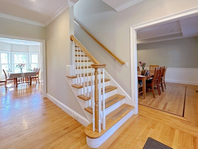 11 Oakland St