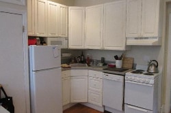 Images are representative samples of the advertised unit. Actual units shown during tours may differ - 209 W Newton St Unit 1