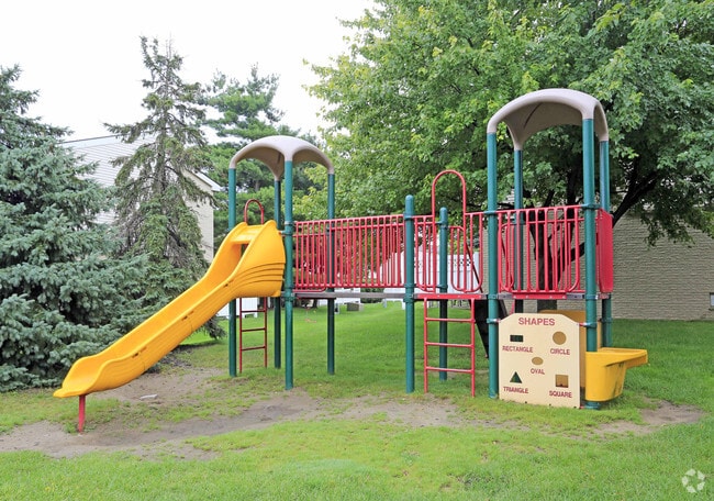 Play Area