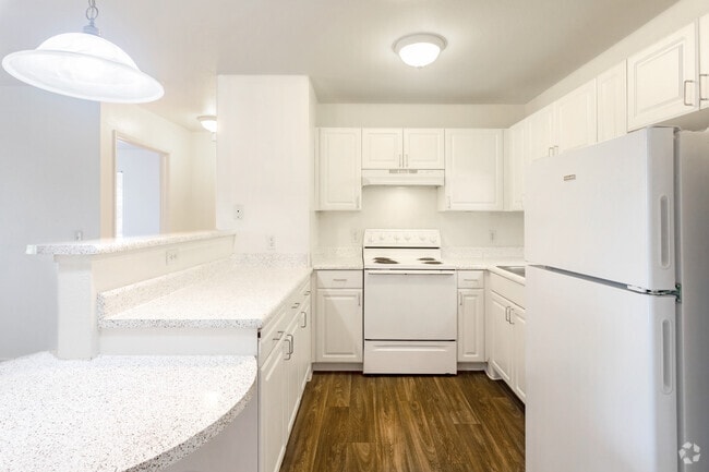 1BR, 1BA - 575SF Carpet - Kitchen