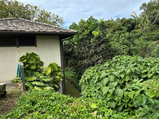 Photo - Rare Detached 1BR Sanctuary in Princeville Unit 9