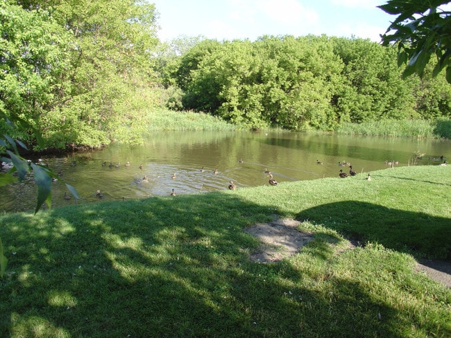 Hermosas vistas de Sussex - Maple Grove Associates, LLP