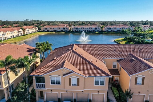 Photo - Partridge on University