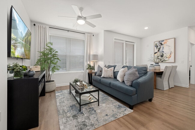 District Collection apartments — community photo