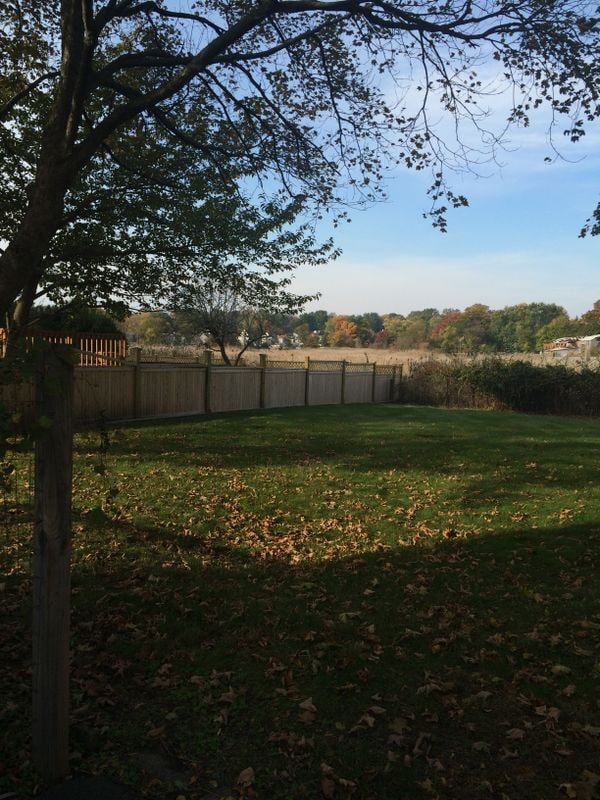 Photo - 254 Ruane St