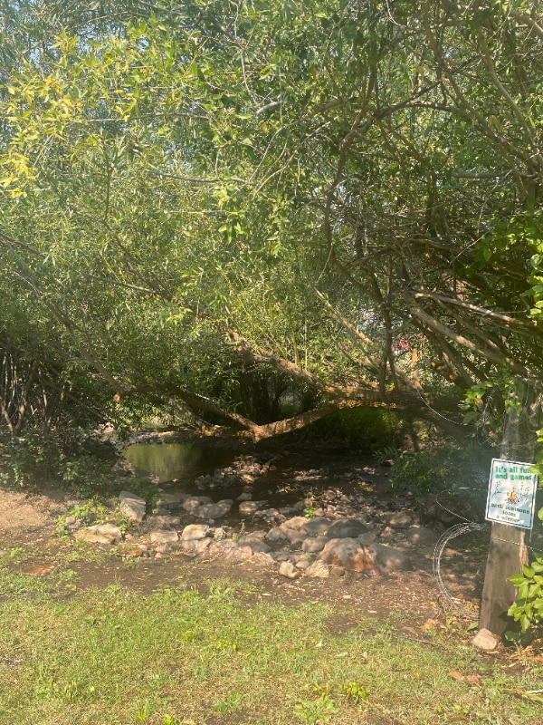 Photo - 33 E Inman Rd