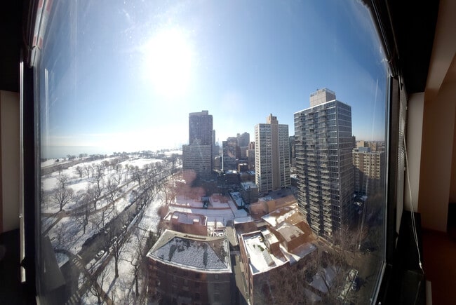 Building Photo - 3100 N Lake Shore Dr Unit 1906