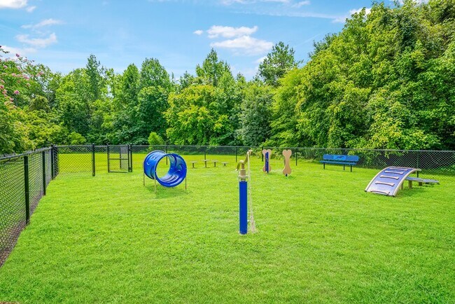 Unwind at Crossings @ 501 Apartments, where our spacious grounds feature a vibrant play area perfect for your furry friends! Enjoy a backdrop of lush greenery and community-friendly amenities. Schedule your tour today!