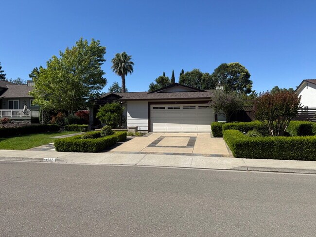 Photo - Stunning Fully Remodeled 4-Bedroom 2 Bathroom Home with Designer Kitchen & Spacious Open Layout i...
