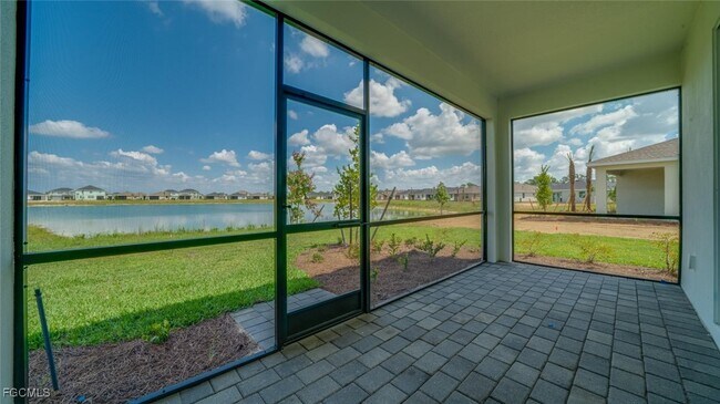 Photo - 43854 Seedling Ter