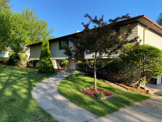 Photo - 3133 Wildbriar Ln