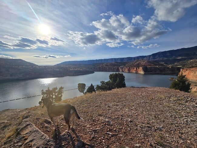 Building Photo - 1411 Richard Martin Dr Unit 101