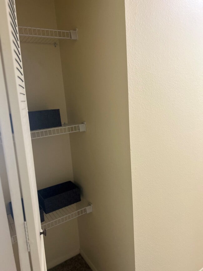 The Pinnacle - Hallway Closet