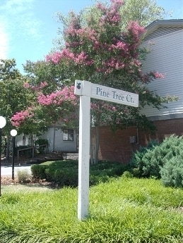 Ridgeway Pines