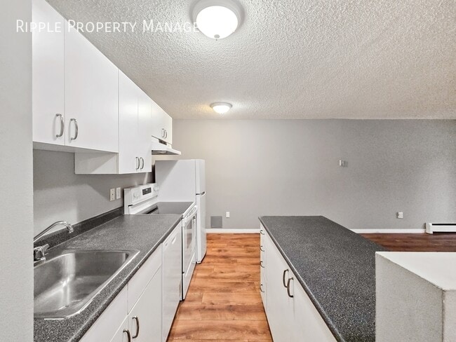 Photo - NEWLY RENOVATED 1 Beds, 1 Baths Apartment/Condo | No Pets Allowed Unité 102
