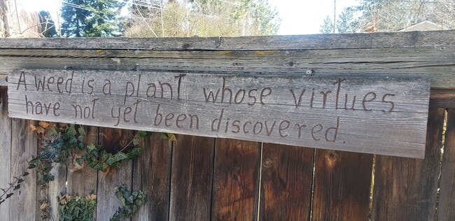 Photo - Available June 10th 3-bedroom, 2 bath home on a corner lot near Hamblen Elementary School