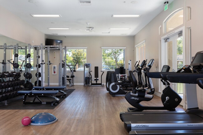 State-of-the-art fitness center with cardio equipment, strength equipment, and free weights