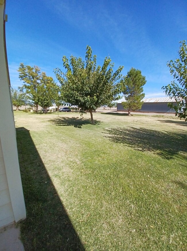 Photo - Ranch Style Farm