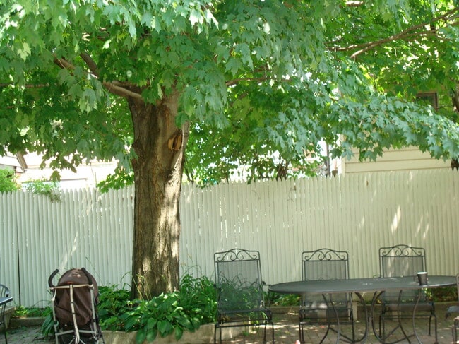 Gran patio compartido para cenas al aire libre. - 648 Valley Ave Unidad #2