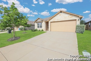 Photo - 22110 Backspin