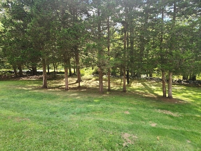 Photo - 168 Woodland St