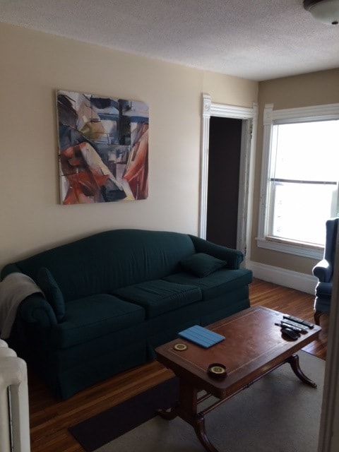 main level living room - 1336 Hewitt Ave Unit Upper