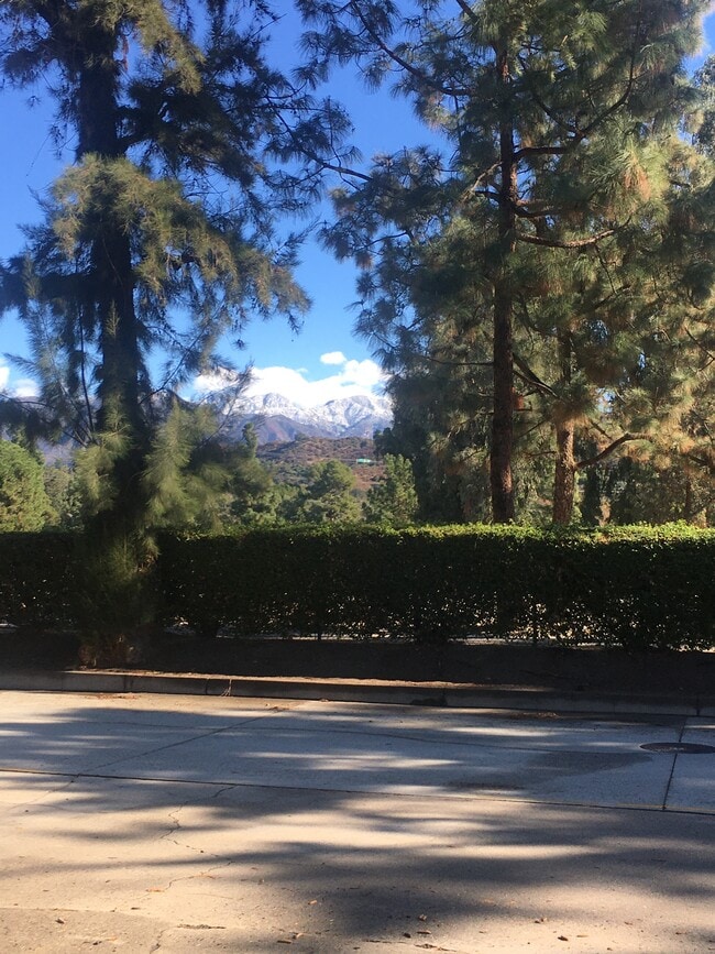 vista frontal de la unidad - 3141 Country Club Dr