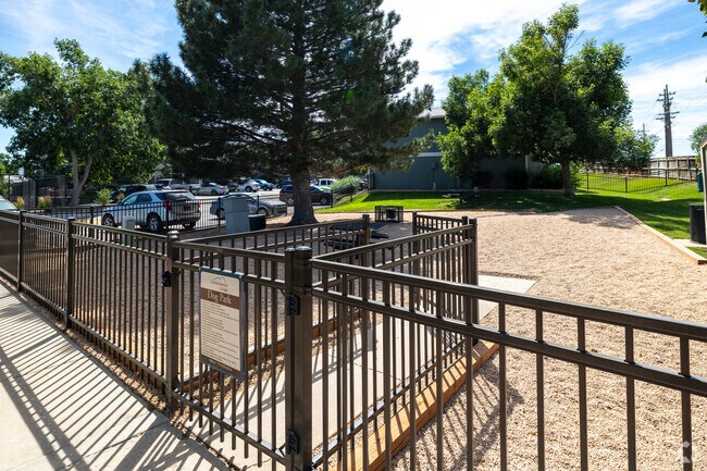 Dog Park
