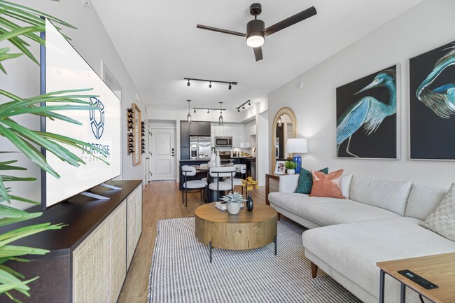 Photo - Tortoise One